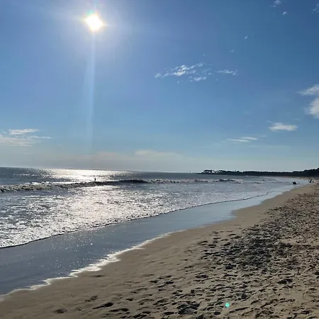 Casa vacanze La Maison Du Bonheur 2 Ch 65m2 - Patio Et Jardin - - Locsweethome Les Mathes